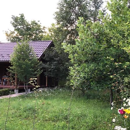 Галіція Villa Byalobereska Buitenkant foto