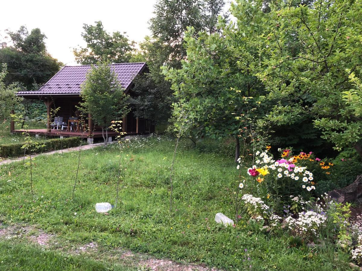 Галіція Villa Byalobereska Buitenkant foto